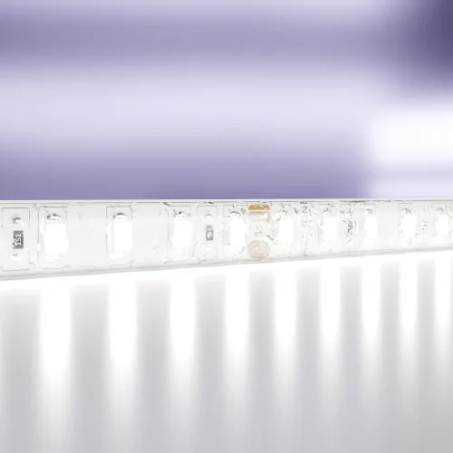 Светодиодная лента 24В 10147 Maytoni цвет LED холодный белый 6000K, световой поток 1000Lm фото 7